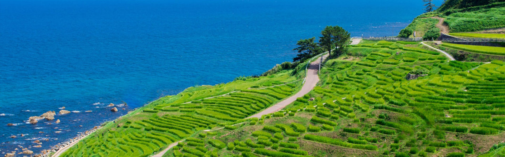 Discover Nature Hokuriku
