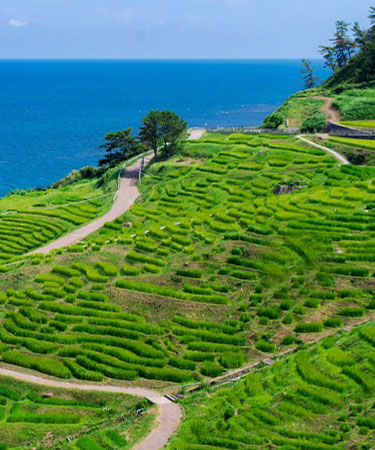Discover Nature Hokuriku