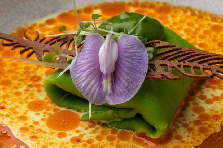 Gourmet Wellness Cuisine