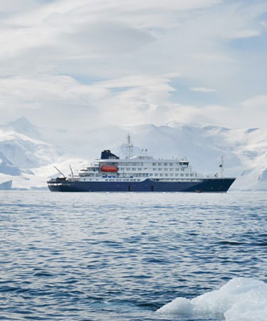 Cruises Collection