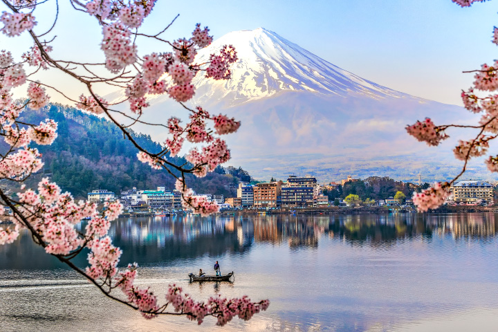 Experience Japan during a celebrated season