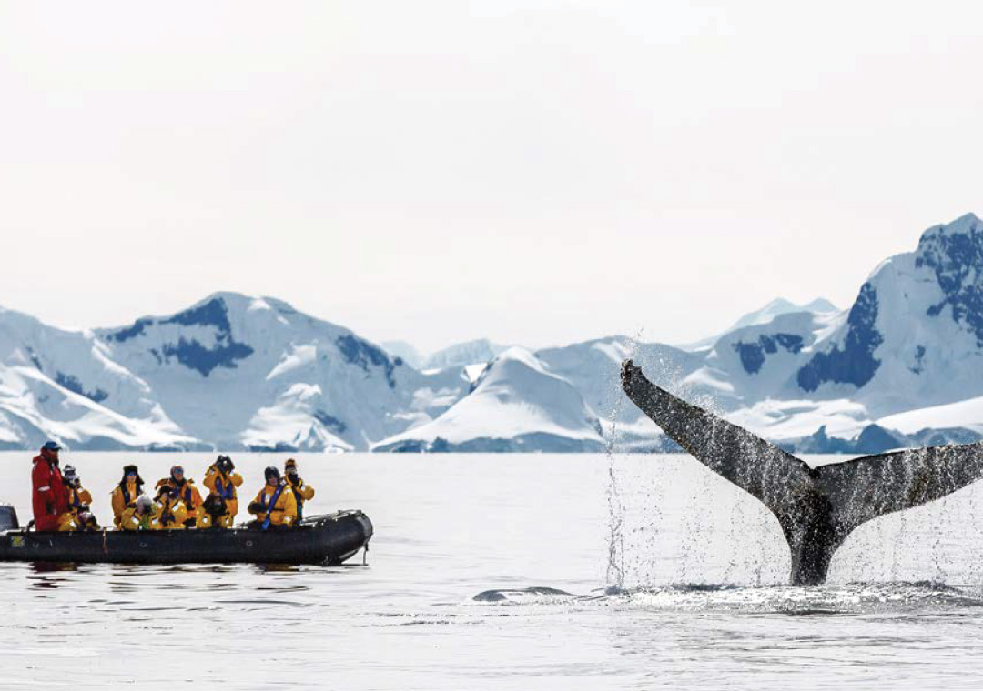 The Global Leader in Polar Exploration