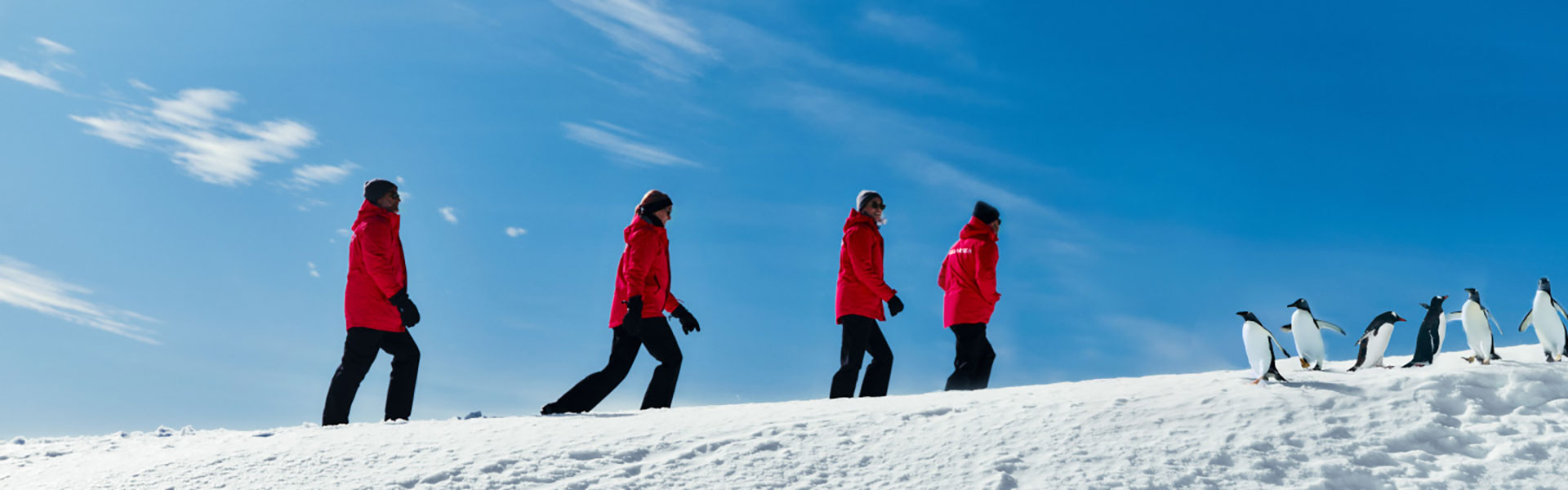 10‑day Antarctica expedition aboard Silver Wind
