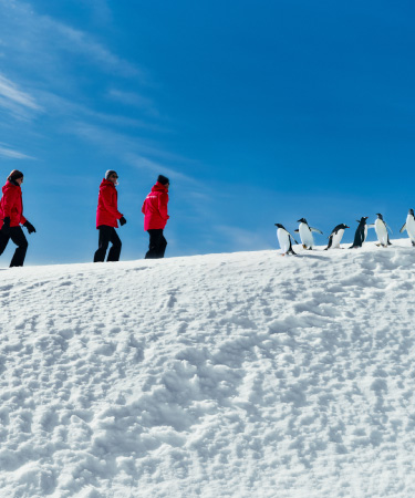 10‑day Antarctica expedition aboard Silver Wind