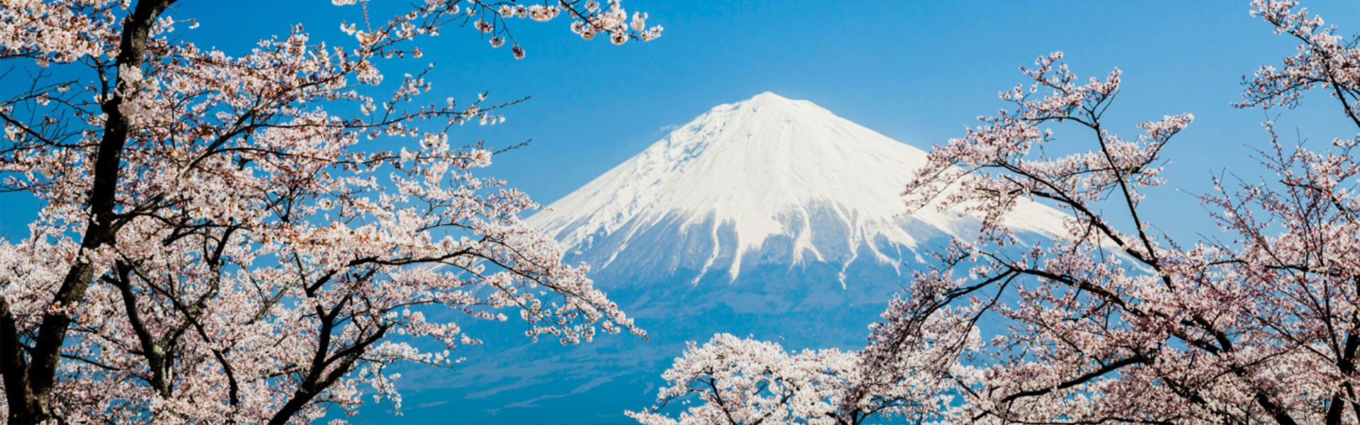 Vacations in Asia