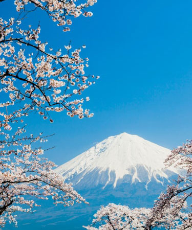 Vacations in Asia