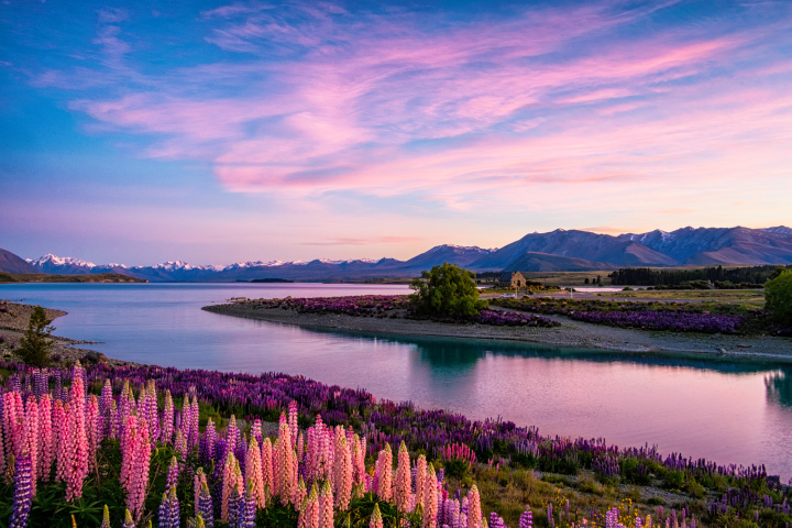 North & South Discovery New Zealand from S$2,542*