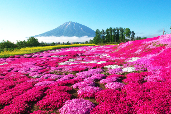 JTB Japan Tours
